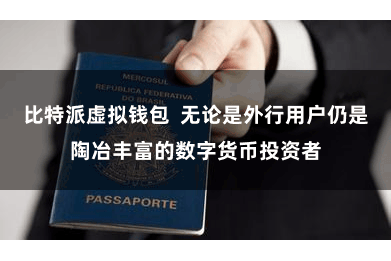 比特派虚拟钱包 无论是外行用户仍是陶冶丰富的数字货币投资者