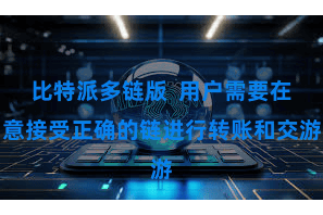 比特派多链版  用户需要在意接受正确的链进行转账和交游