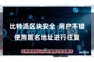 比特派区块安全  用户不错使用匿名地址进行往复