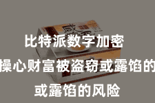 比特派数字加密  不消操心财富被盗窃或露馅的风险