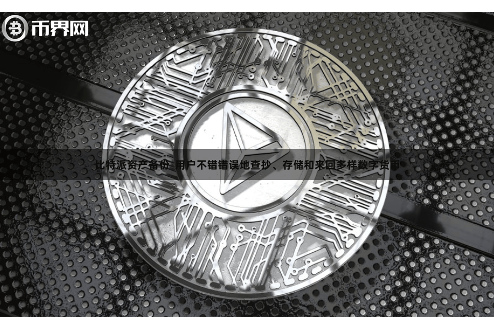 比特派资产备份  用户不错错误地查抄、存储和来回多样数字货币