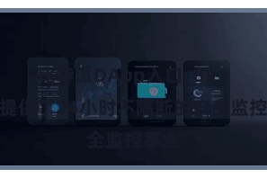 比特派DApp入口  Bitpie还提供了24小时不隔断的安全监控事业