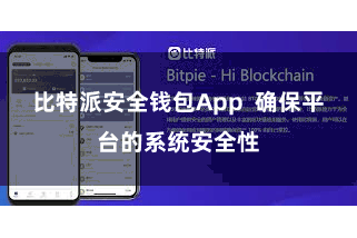 比特派安全钱包App  确保平台的系统安全性