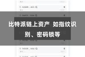 比特派链上资产  如指纹识别、密码锁等